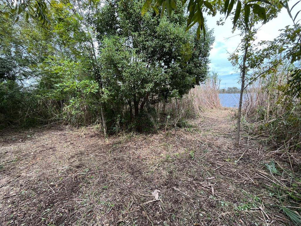 4 River Chase Road Apalachicola, FL 32320 - Photo 14 of 15