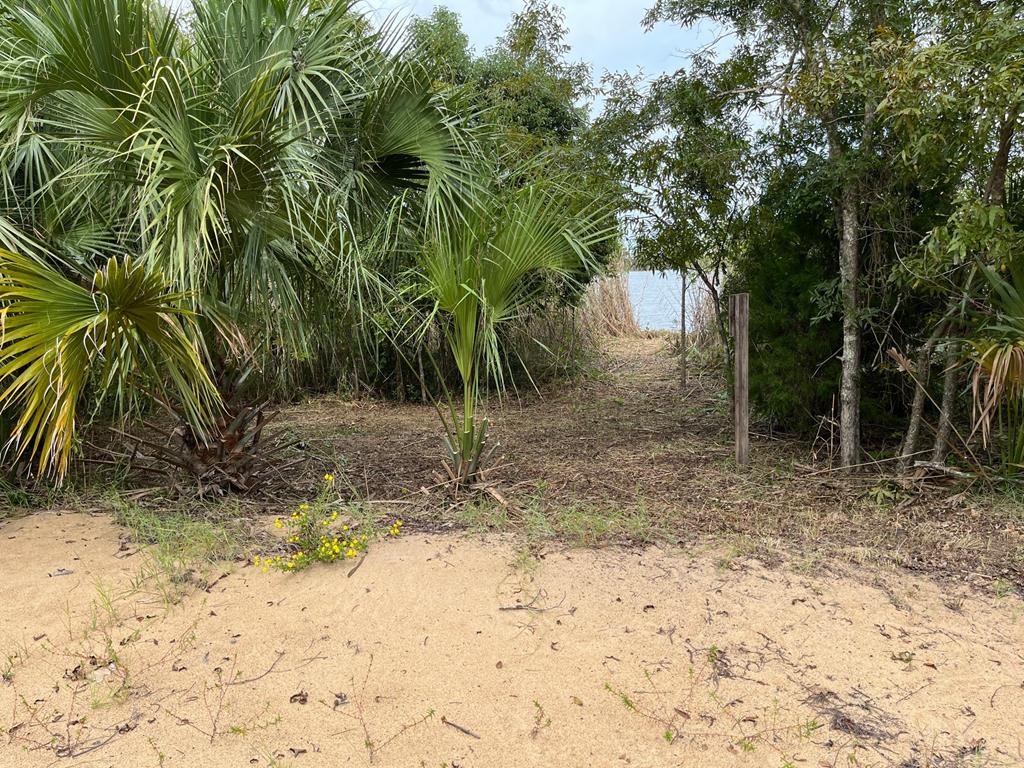 4 River Chase Road Apalachicola, FL 32320 - Photo 15 of 15