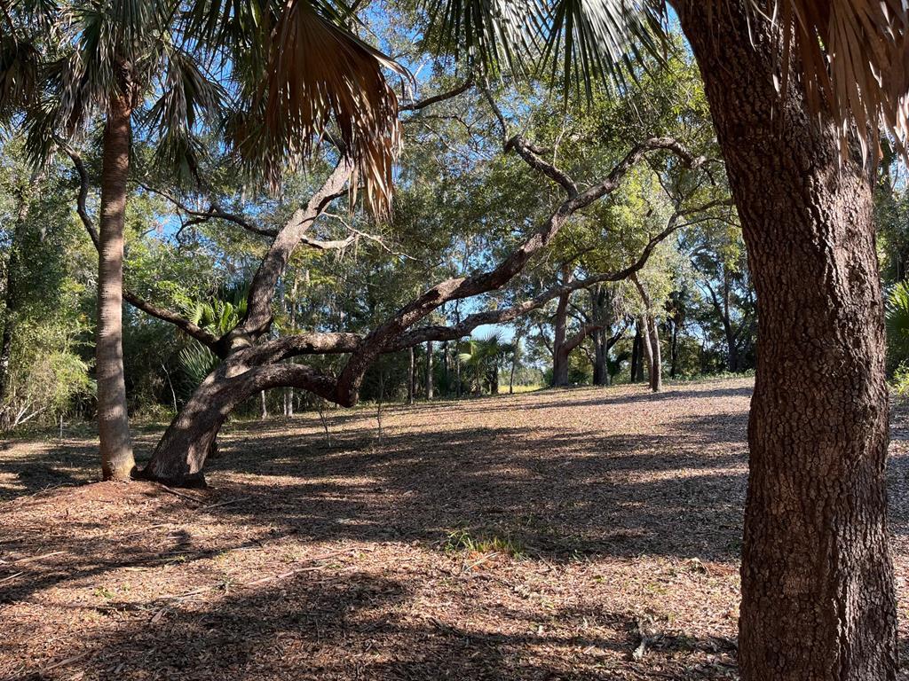 4 River Chase Road Apalachicola, FL 32320 - Photo 3 of 15