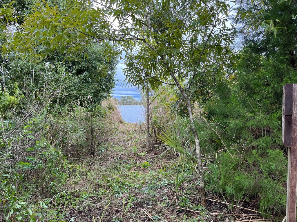 4 River Chase Road Apalachicola, FL 32320 - Photo 7 of 15