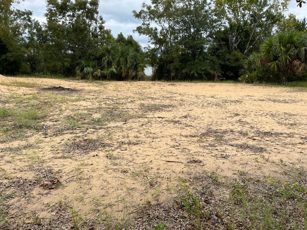 4 River Chase Road Apalachicola, FL 32320 - Photo 8 of 15