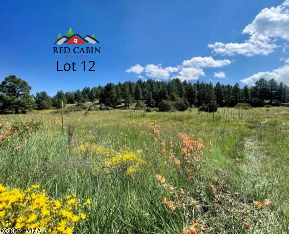 Lot 12