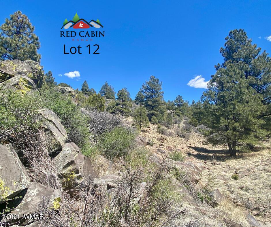 Lot 12 Red Cabin Ranch Vernon, AZ 85940 - Photo 7 of 20 Red Cabin Ranch