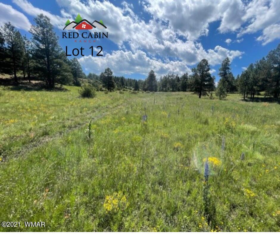 Lot 12 Red Cabin Ranch Vernon, AZ 85940 - Photo 8 of 20 Lot 12