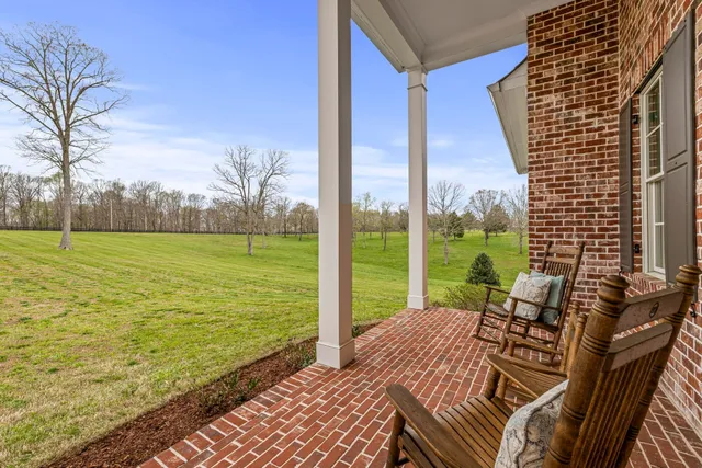 a view of a backyard with potted plants