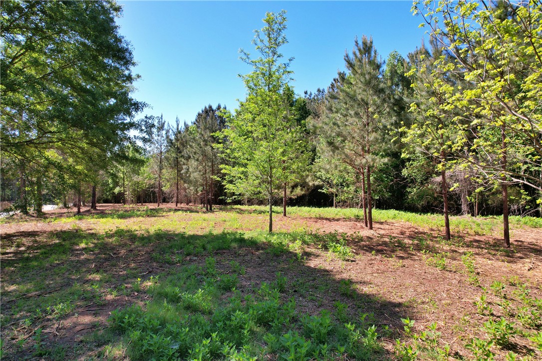 Lot 134 Mcalister Rd Union West Union, SC 29696 - Photo 21 of 43 A tranquil clearing awaits, offering a peaceful backdrop for your future home.