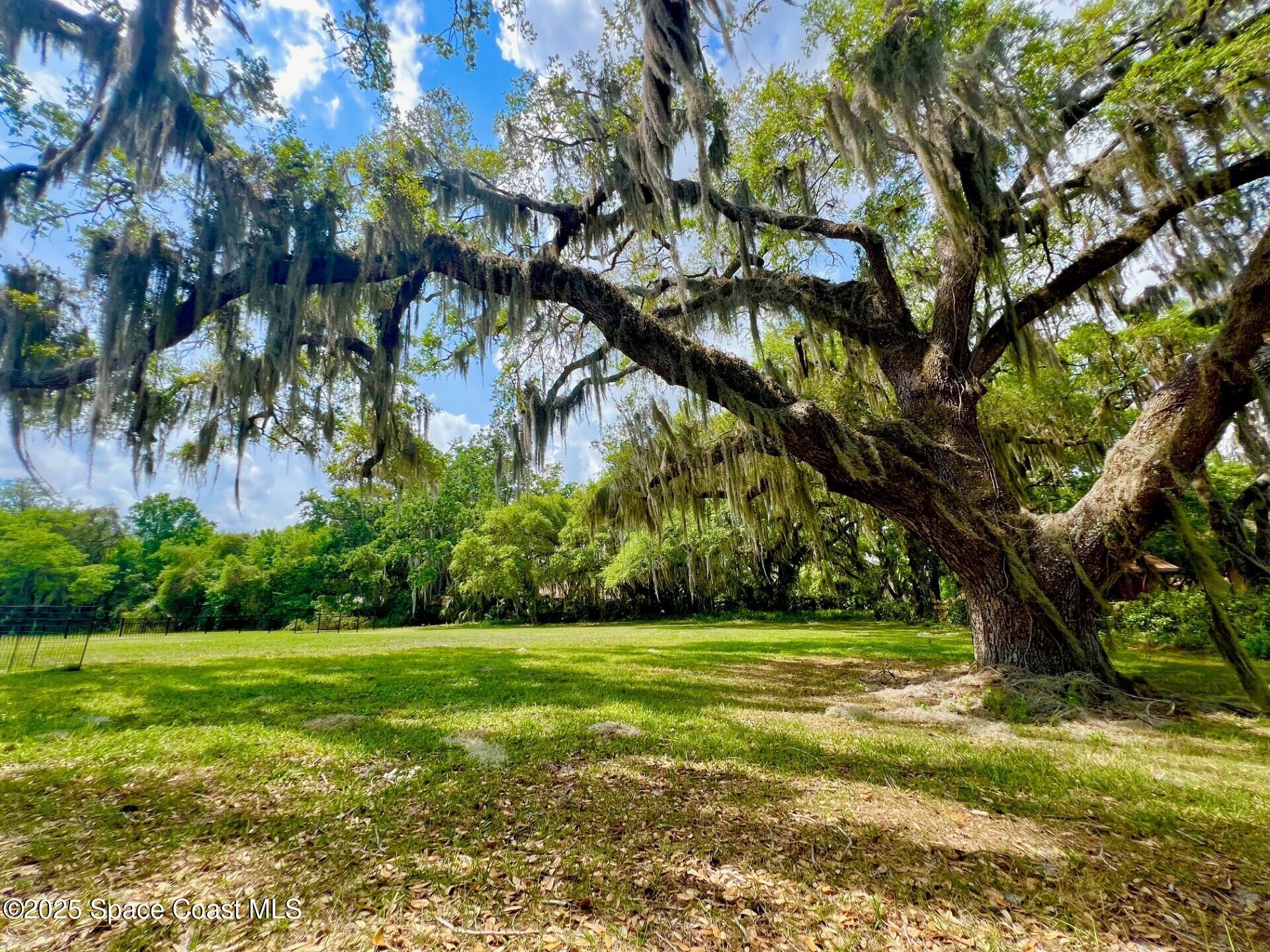 3430 Turtle Mound Road Melbourne, FL 32934 - Photo 14 of 17 13