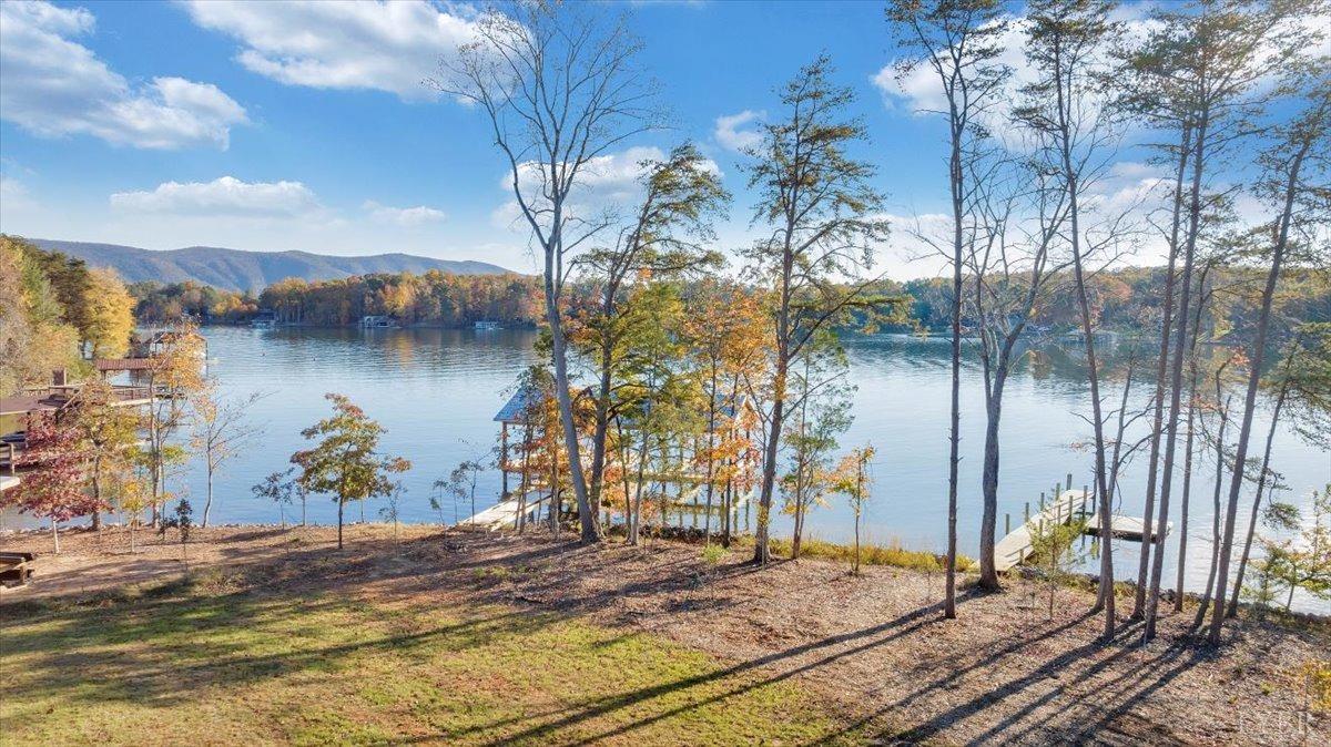 317 Bass Cove Road Huddleston, VA 24104 - Photo 2 of 90