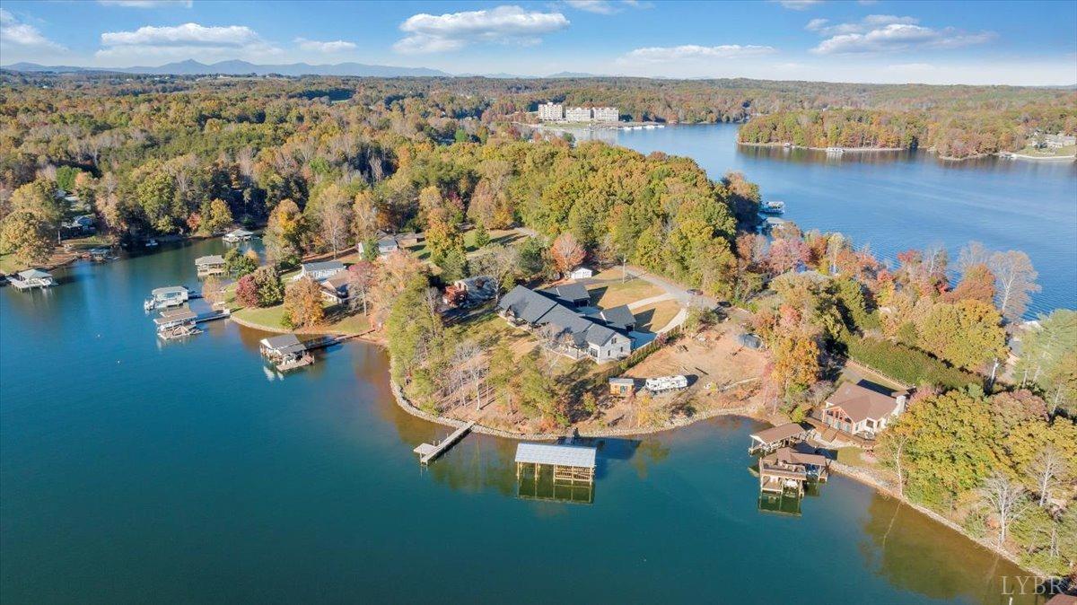 317 Bass Cove Road Huddleston, VA 24104 - Photo 75 of 90