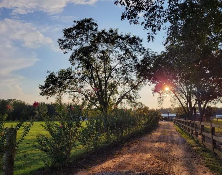 249 V E Howell Road Lucedale, MS 39452 - Photo 5 of 30 Other
