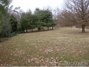 784 Oak Grv Ext Road St. Marys, WV 26170 - Photo 3 of 8 Outside View