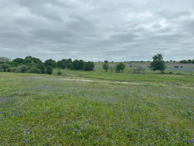 a view of a field with trees in background