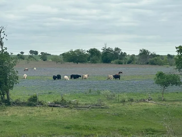 a view of an outdoor space with a lake view
