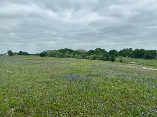 a view of a green field with lots of trees