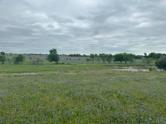 a view of an outdoor space and a yard