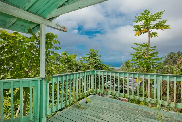 a view of a garden from a patio