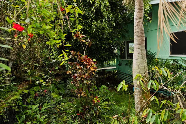 a view of a porch with furniture and a backyard
