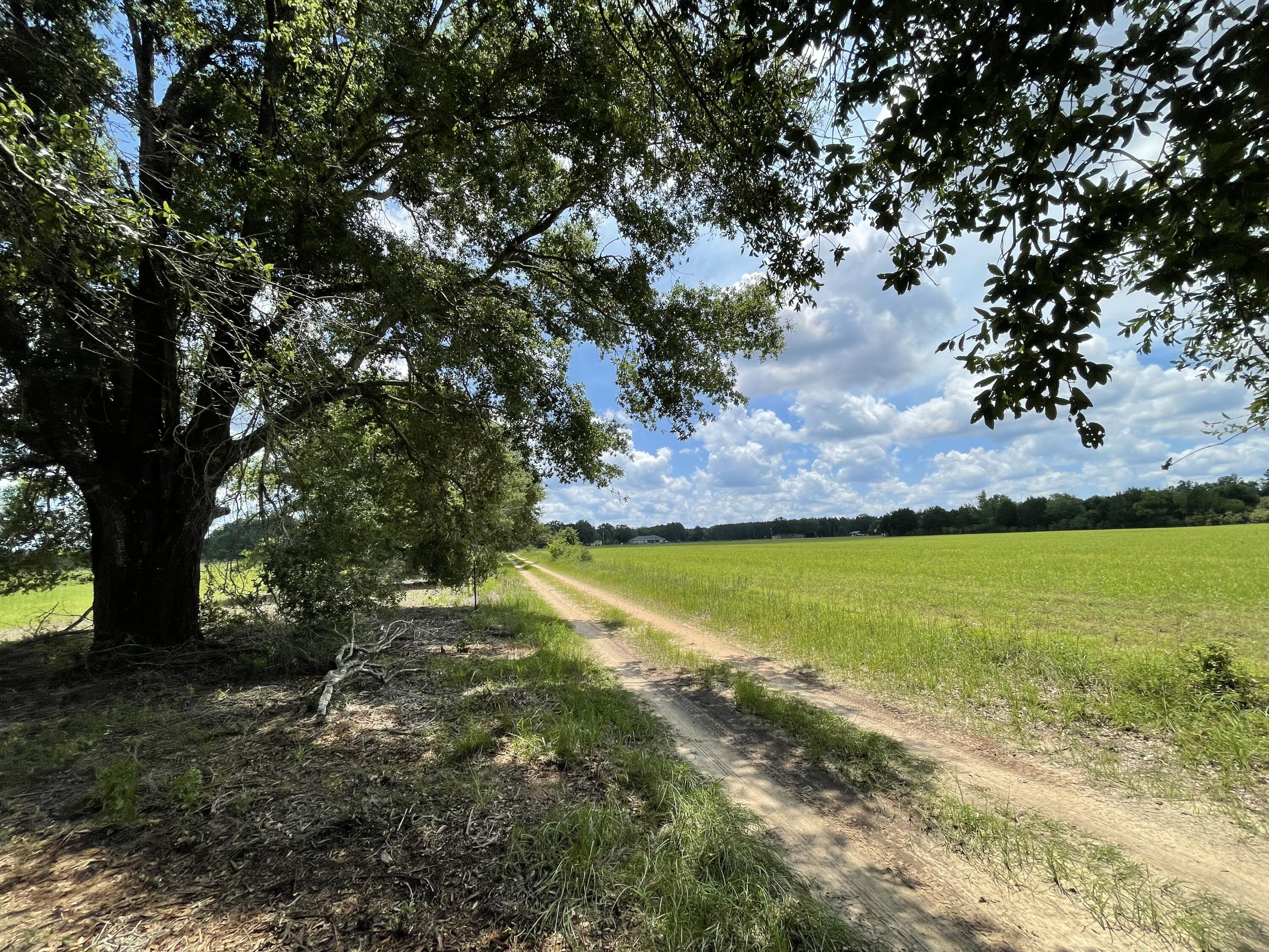 Parcel A Poplar Head Church Road Holt, FL 32564 - Photo 2 of 9 IMG_3139