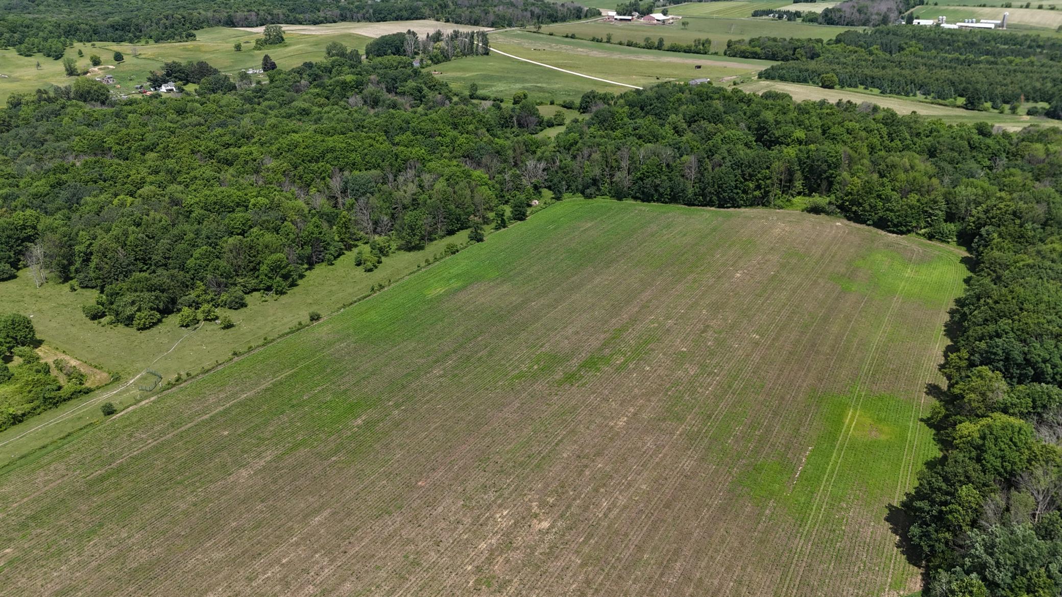 Tbd Tbd 230th Baldwin, WI 54002 - Photo 24 of 56