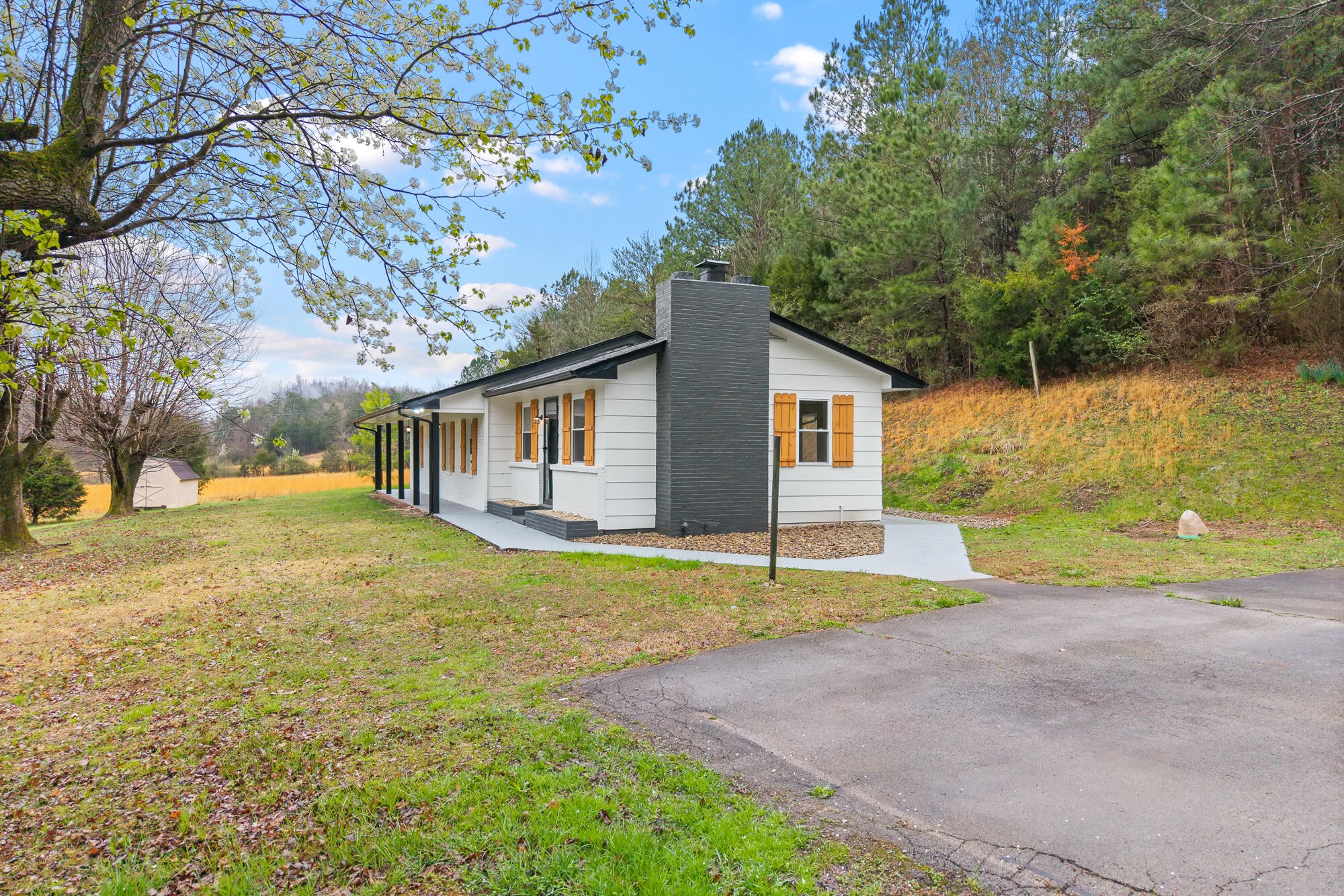 144 Cagle Road Tellico Plains, TN 37385 - Photo 4 of 34 Gallery Image 4