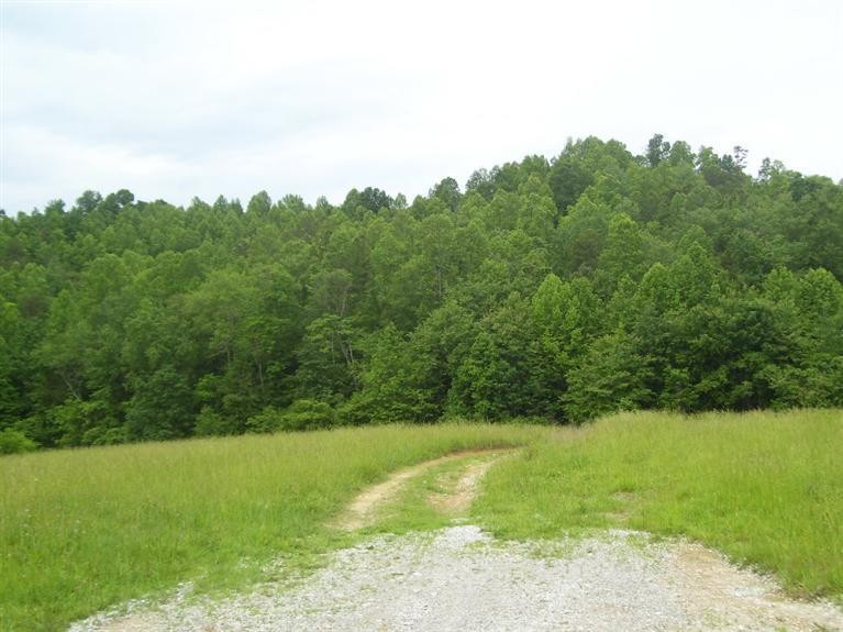 110 Kelly Branch Road London, KY 40741 - Photo 16 of 39 Photo 18