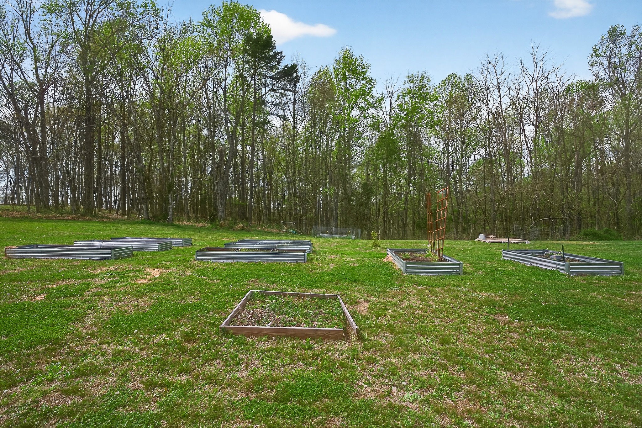 1399 Adamson Branch Road Liberty, TN 37095 - Photo 41 of 49