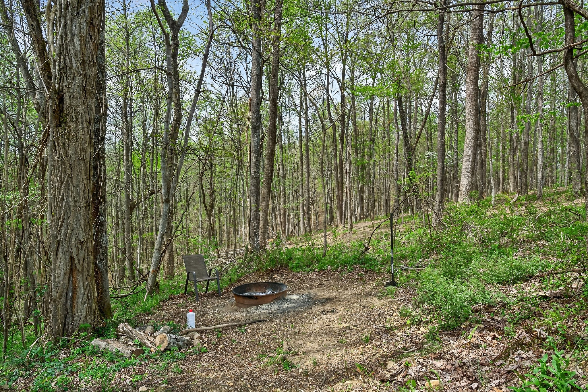 1399 Adamson Branch Road Liberty, TN 37095 - Photo 43 of 49