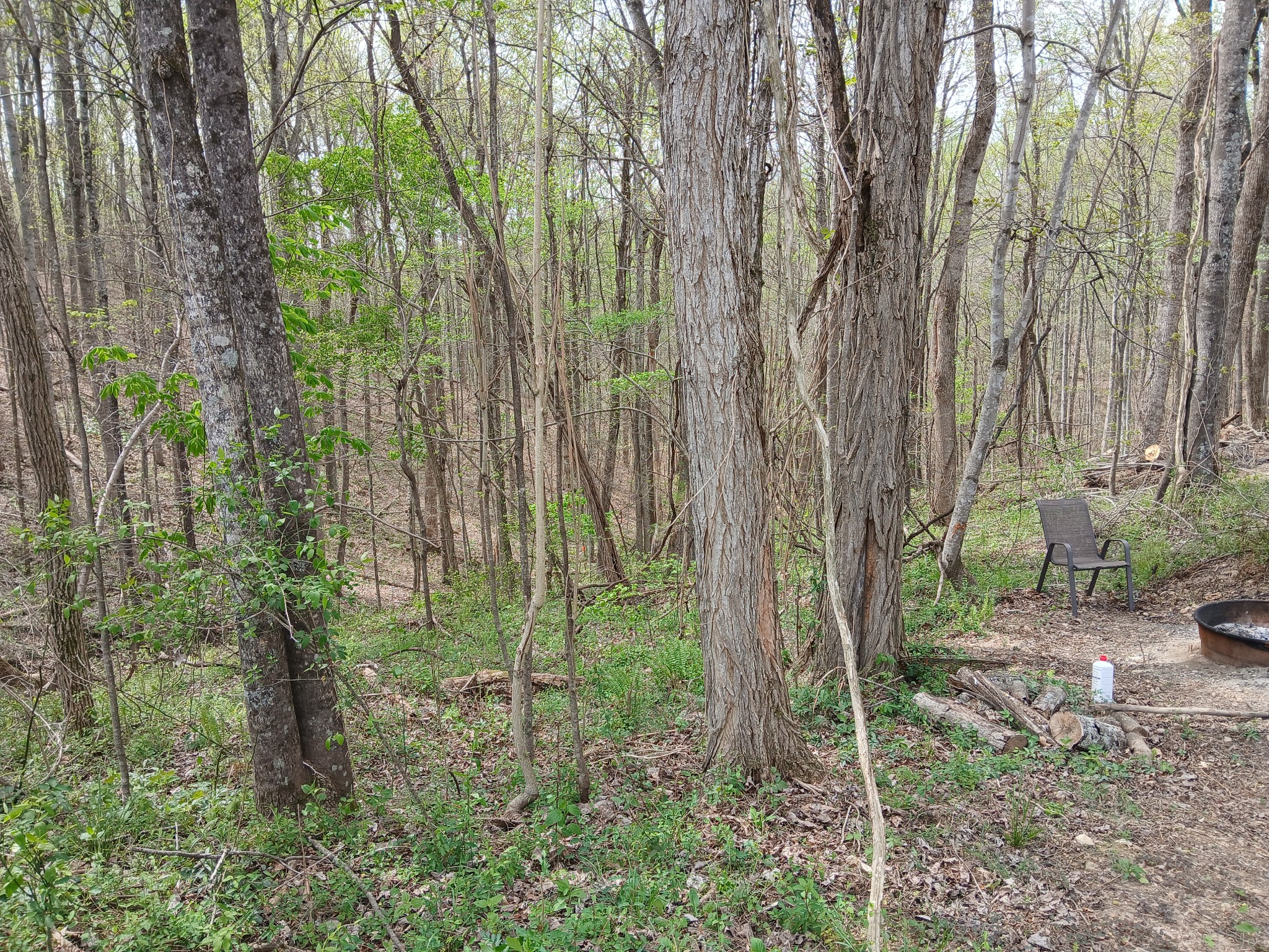 1399 Adamson Branch Road Liberty, TN 37095 - Photo 44 of 49