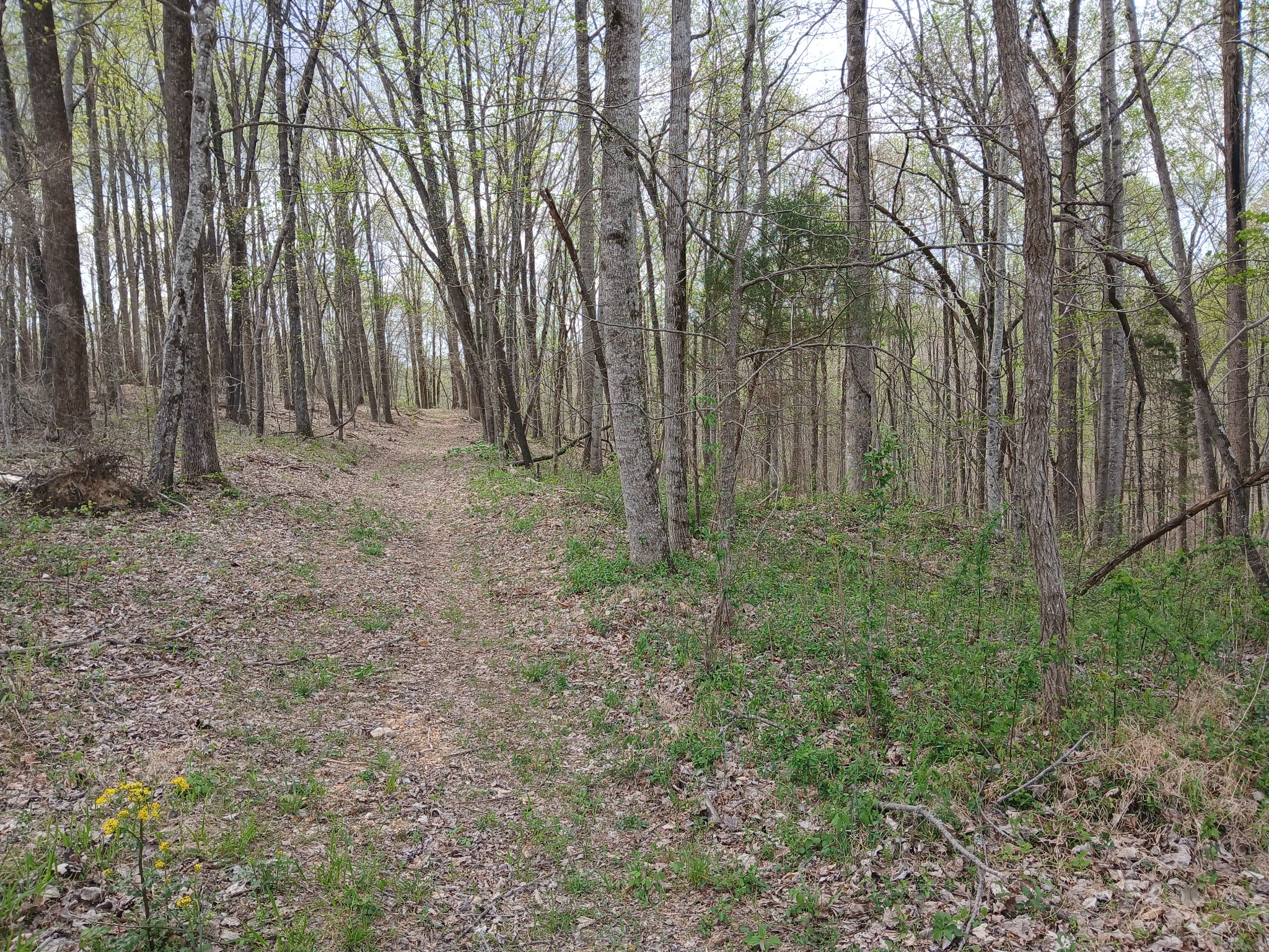 1399 Adamson Branch Road Liberty, TN 37095 - Photo 45 of 49