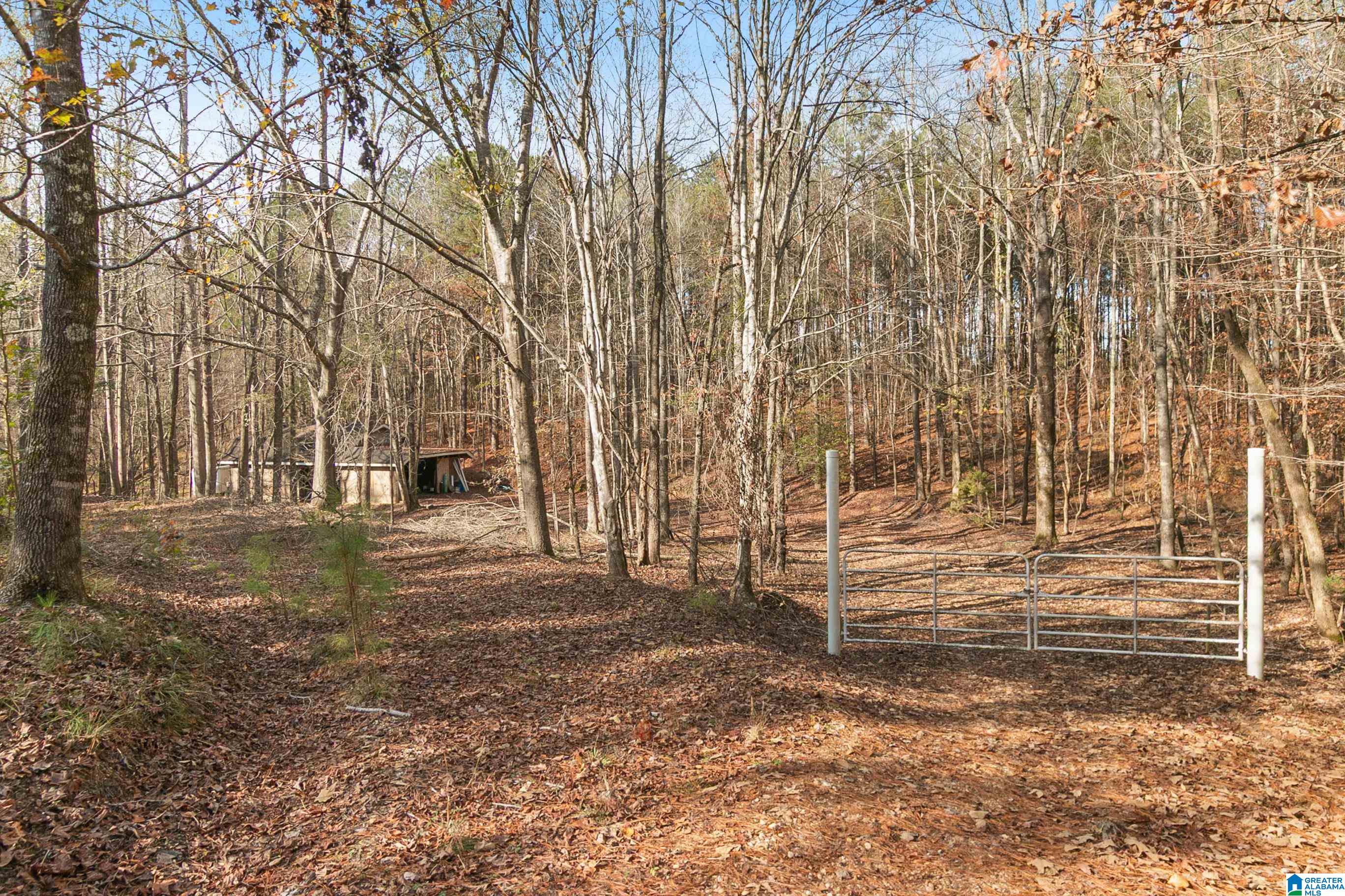 10808 North Haven Road Northport, AL 35475 - Photo 5 of 45