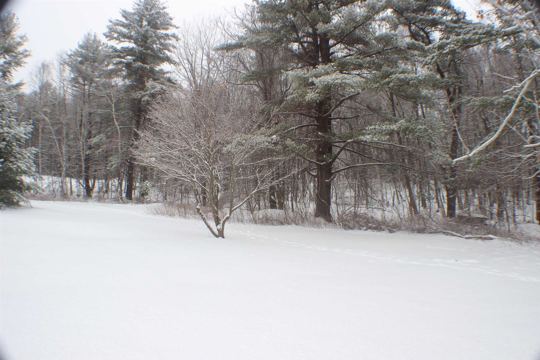 76 East Road Atkinson, NH 03811 - Photo 34 of 40