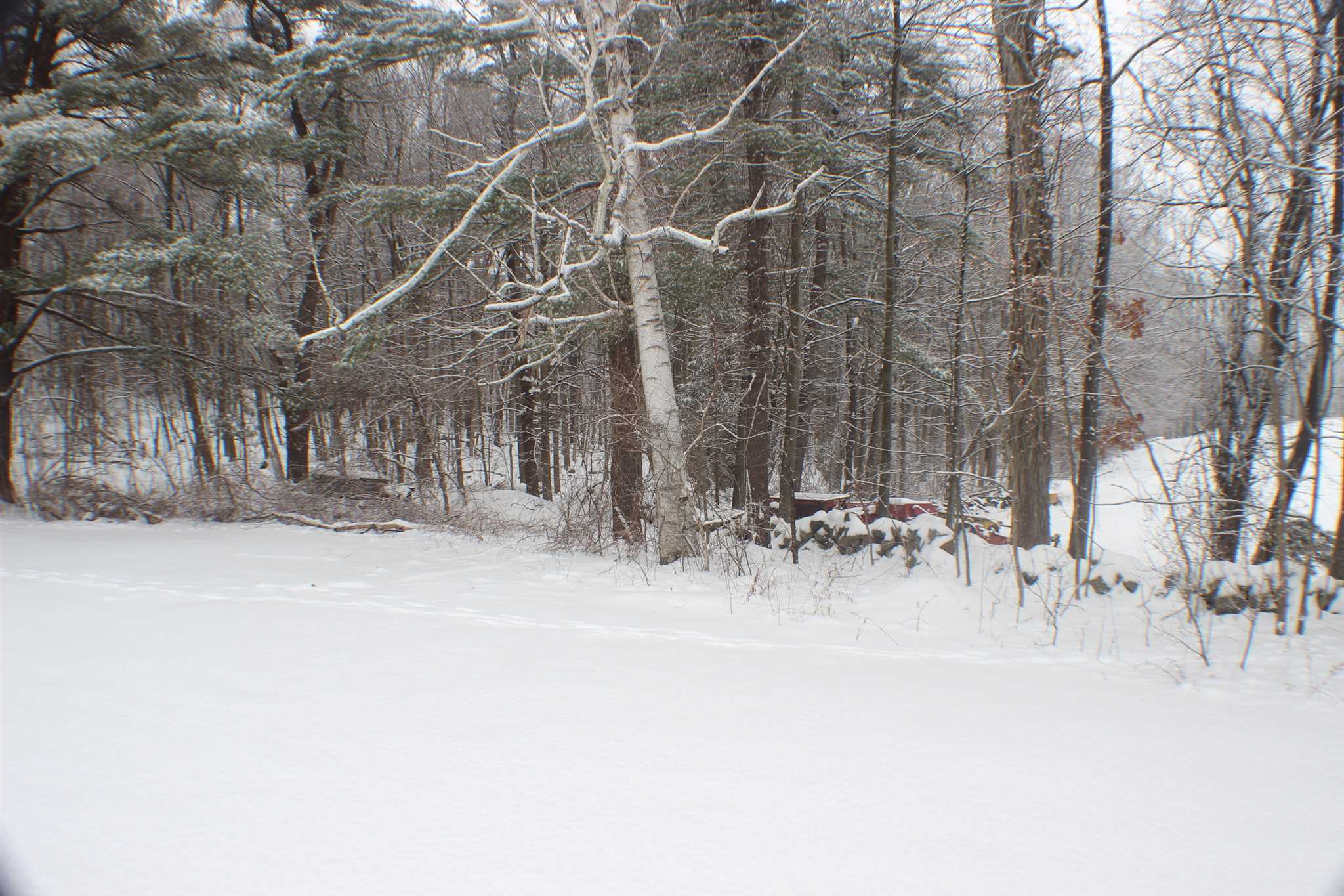76 East Road Atkinson, NH 03811 - Photo 35 of 40
