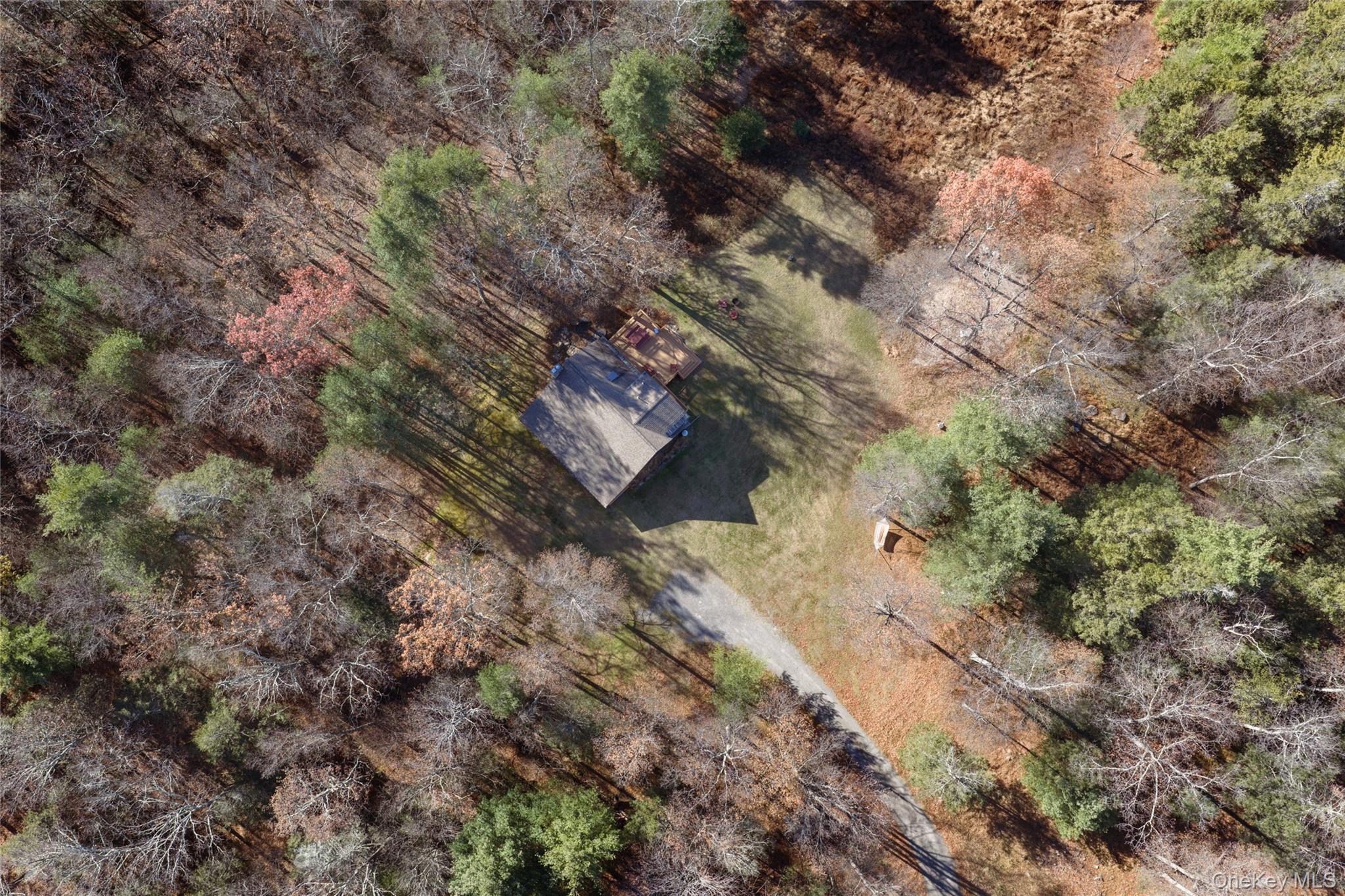 827 Ashokan Road Kingston, NY 12401 - Photo 33 of 36 a view of a forest with trees