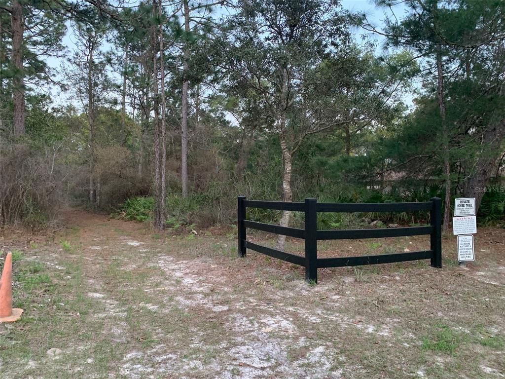3155 West Brazilnut Road Beverly Hills, FL 34465 - Photo 6 of 9 a view of a bench in a forest