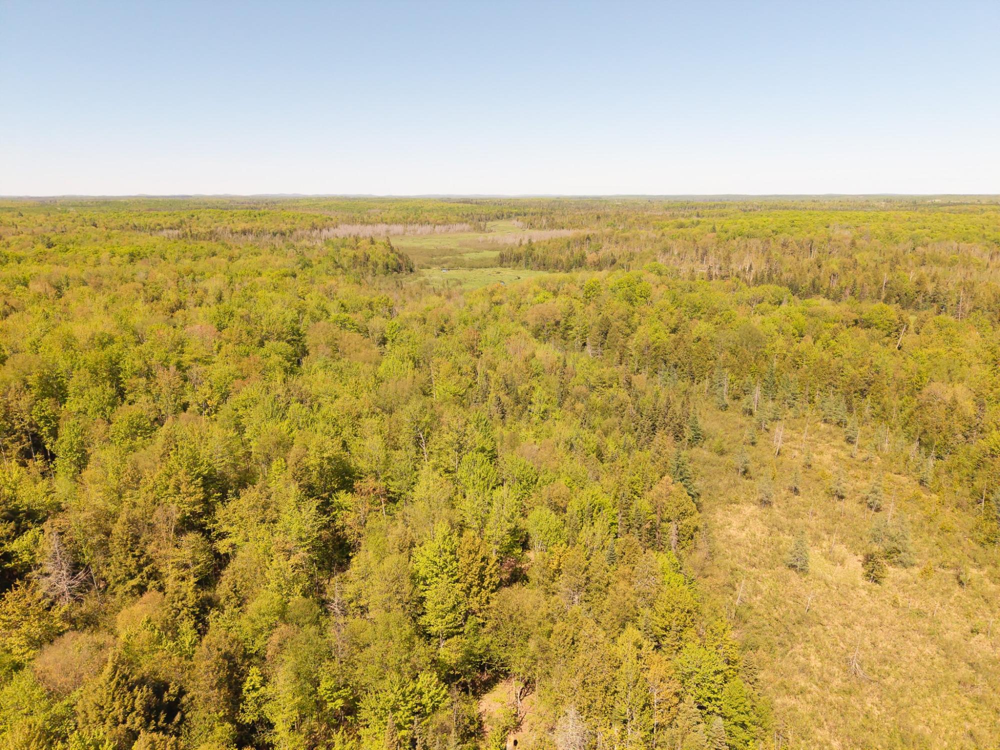Off Island Lake Road Hurley, WI 54534 - Photo 5 of 12 Gallery Image 5
