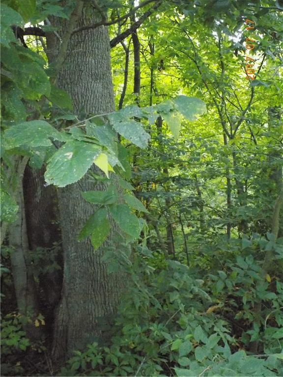 930 Muessing Road Indianapolis, IN 46239 - Photo 47 of 48