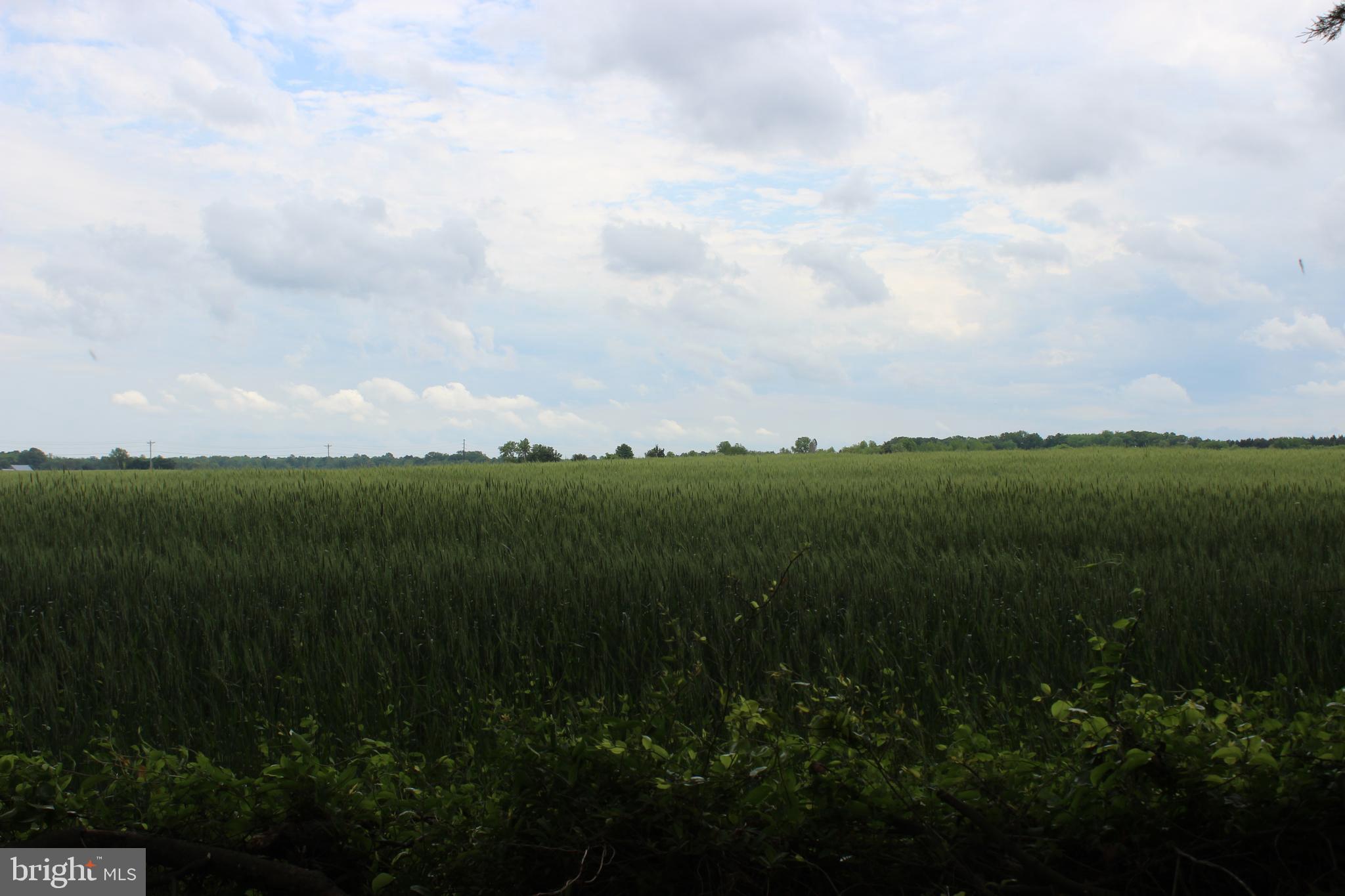 105 Carter Road Church Hill, MD 21623 - Photo 20 of 20 Beautiful view of Farmland behind the home.