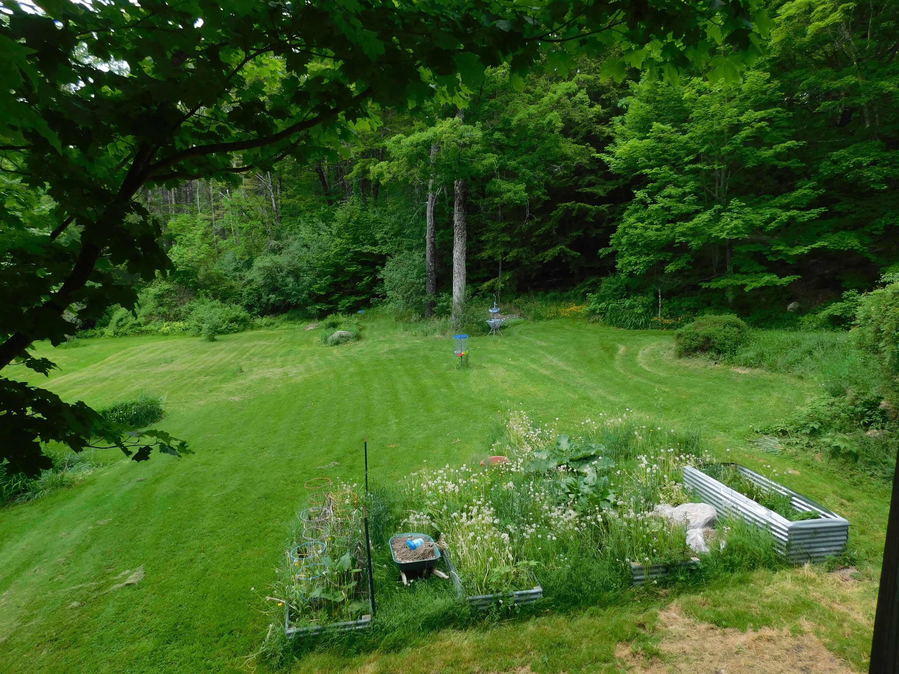 460 Downer Hill Road Weathersfield, VT 05156 - Photo 3 of 15