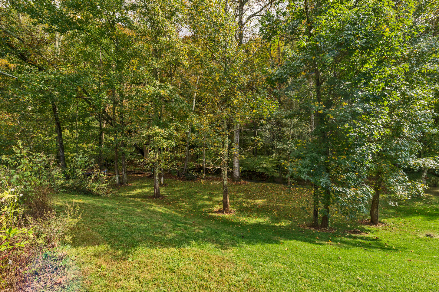 11624 Edison Road Knoxville, TN 37932 - Photo 31 of 33 Yard