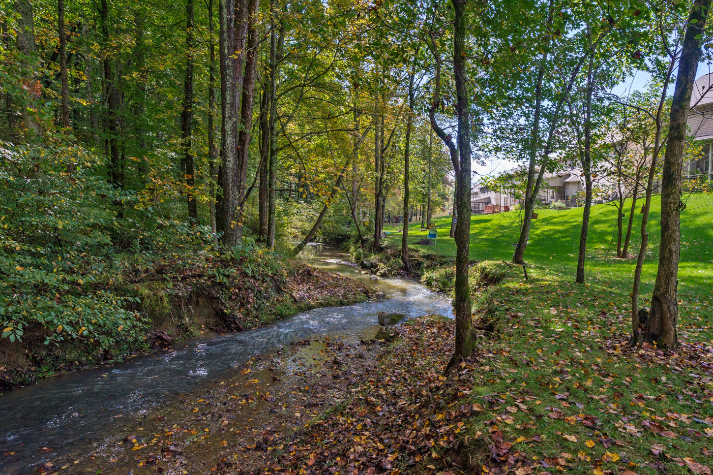 11624 Edison Road Knoxville, TN 37932 - Photo 32 of 33 Rear