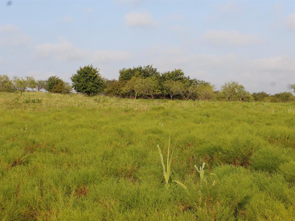 Tbd Lot 2 Tbd Road Ennis, TX 75119 - Photo 11 of 20