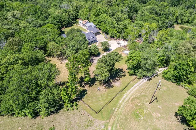 a view of a yard with plants