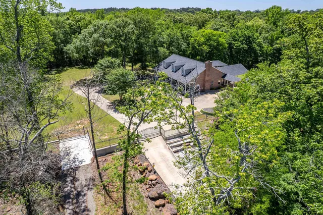 a view of a tree in a field with lots of bushes