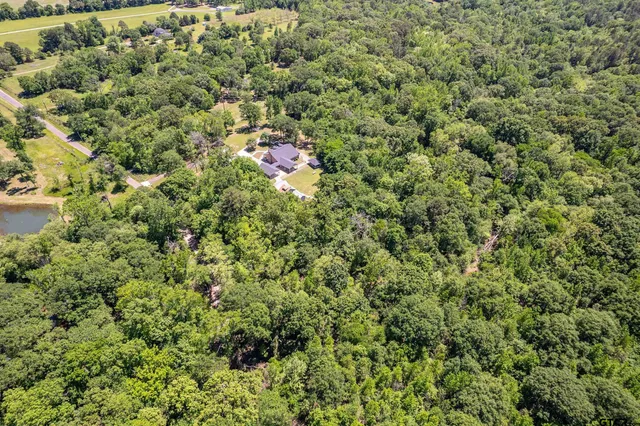 a view of a house with a lush green forest