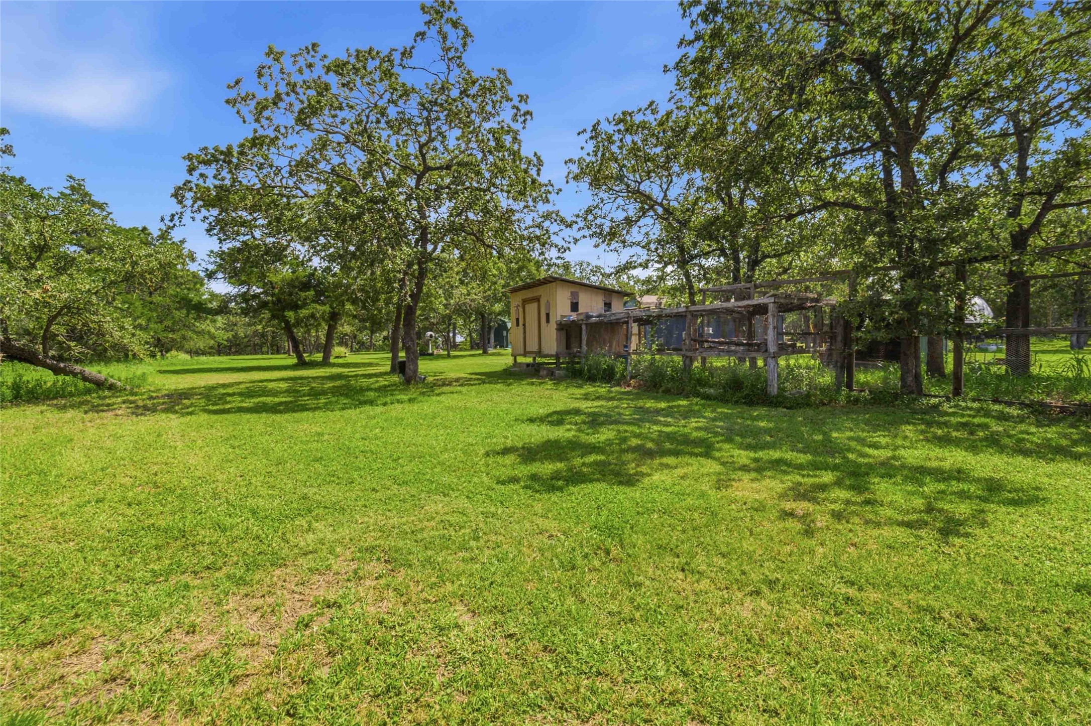 7921 Vista Ranch Road Smithville, TX 78957 - Photo 25 of 39 A spacious, verdant yard with mature trees offers a serene natural setting.