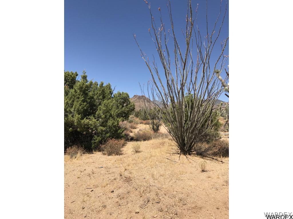 5 Rifle Road Yucca, AZ 86438 - Photo 13 of 25 Gallery Image 13