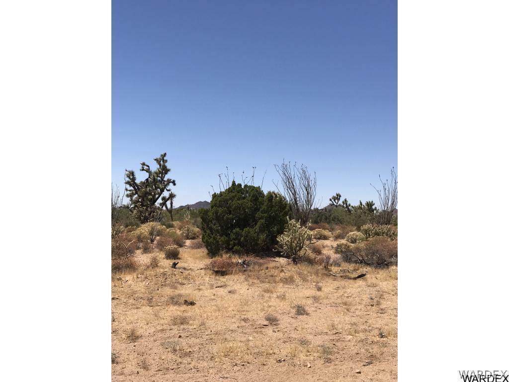 5 Rifle Road Yucca, AZ 86438 - Photo 20 of 25 Gallery Image 20