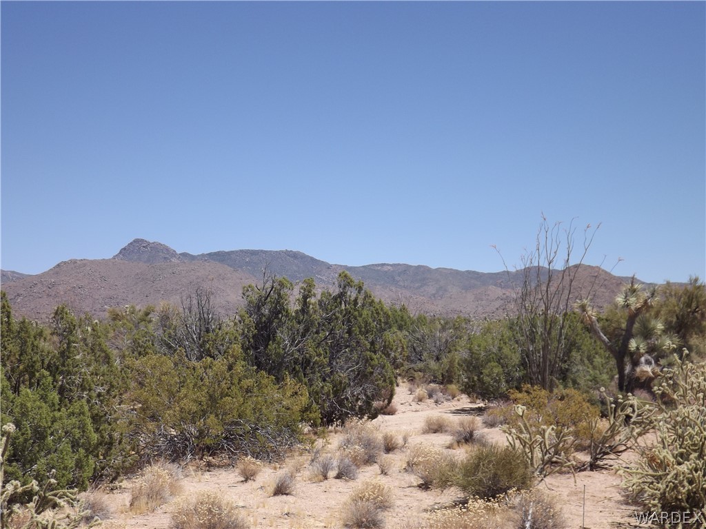 5 Rifle Road Yucca, AZ 86438 - Photo 7 of 25 Gallery Image 7