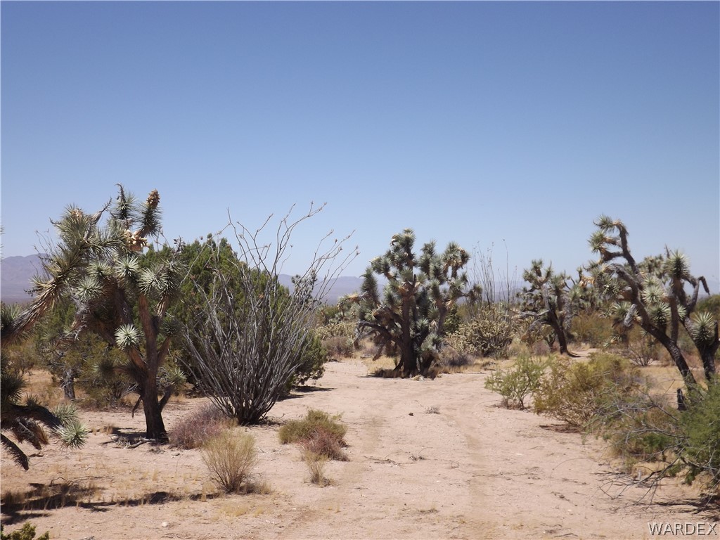 5 Rifle Road Yucca, AZ 86438 - Photo 8 of 25 Gallery Image 8