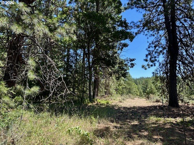 41 Timber Drive Goldendale, WA 98620 - Photo 15 of 23